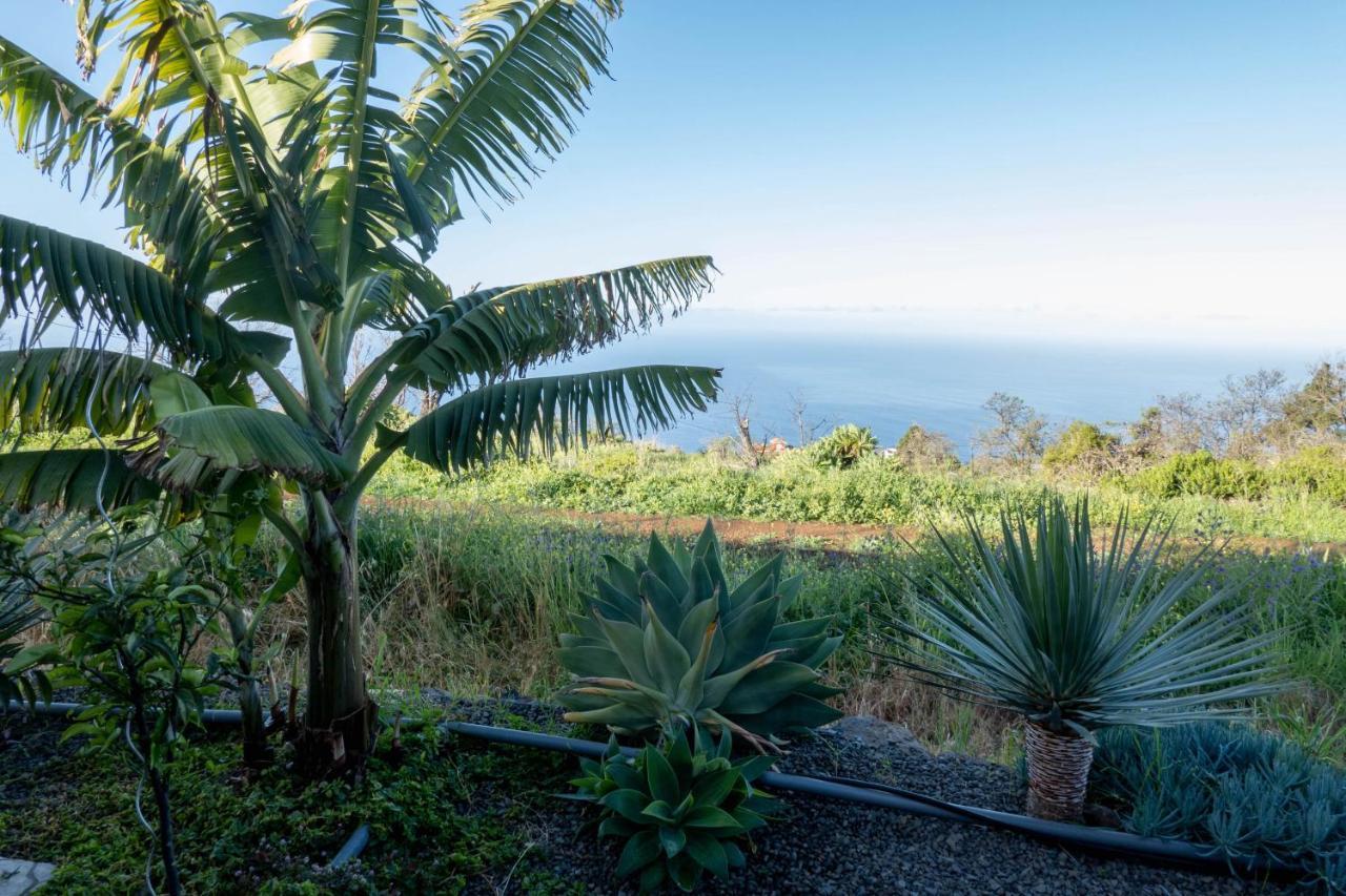 Hrlos Piratas - Ferien Haus La Palma - Good Wlan !! Tijarafe Kültér fotó