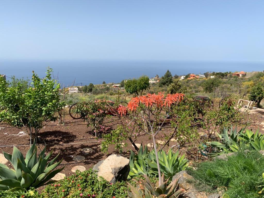 Hrlos Piratas - Ferien Haus La Palma - Good Wlan !! Tijarafe Kültér fotó