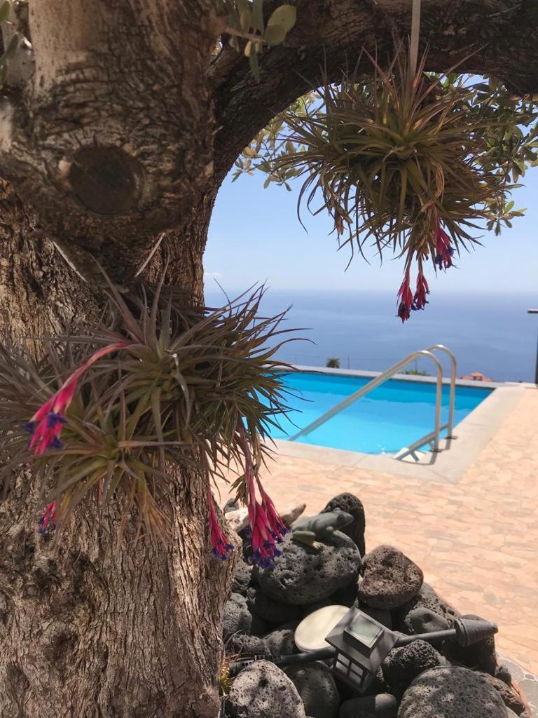 Hrlos Piratas - Ferien Haus La Palma - Good Wlan !! Tijarafe Kültér fotó